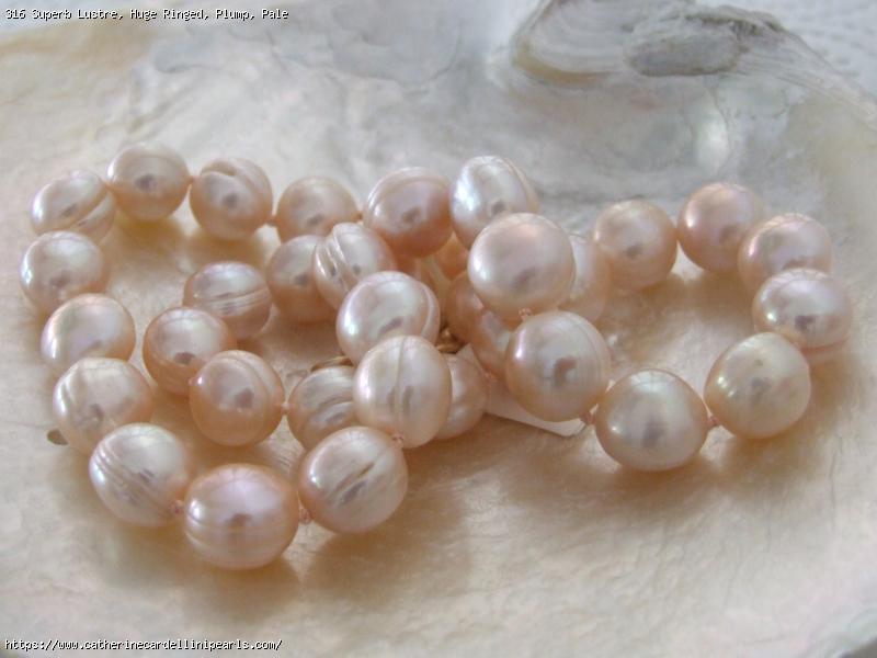 Superb Lustre, Huge Ringed, Plump, Pale Pink Freshwater Pearl Necklace